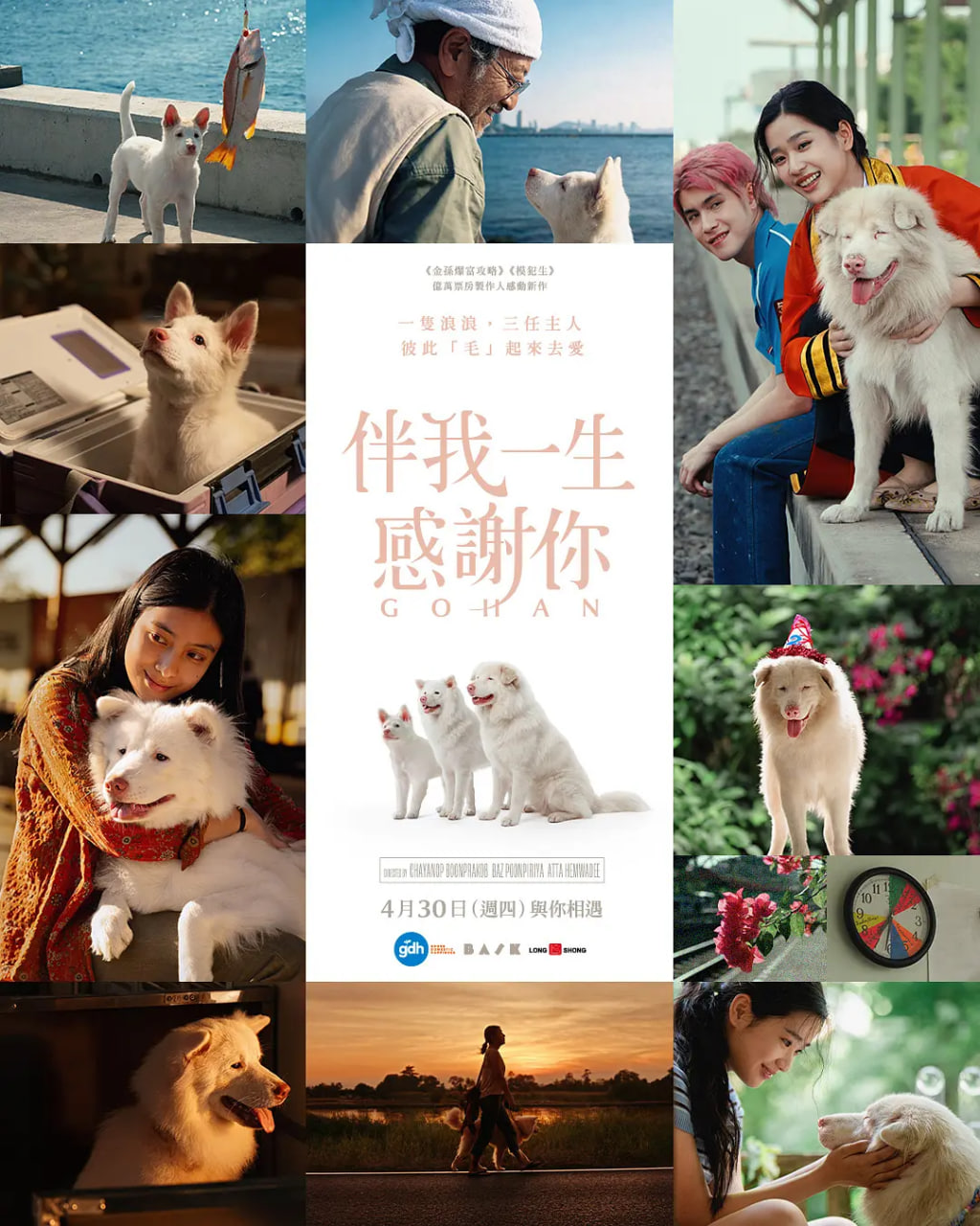 心犬相随
