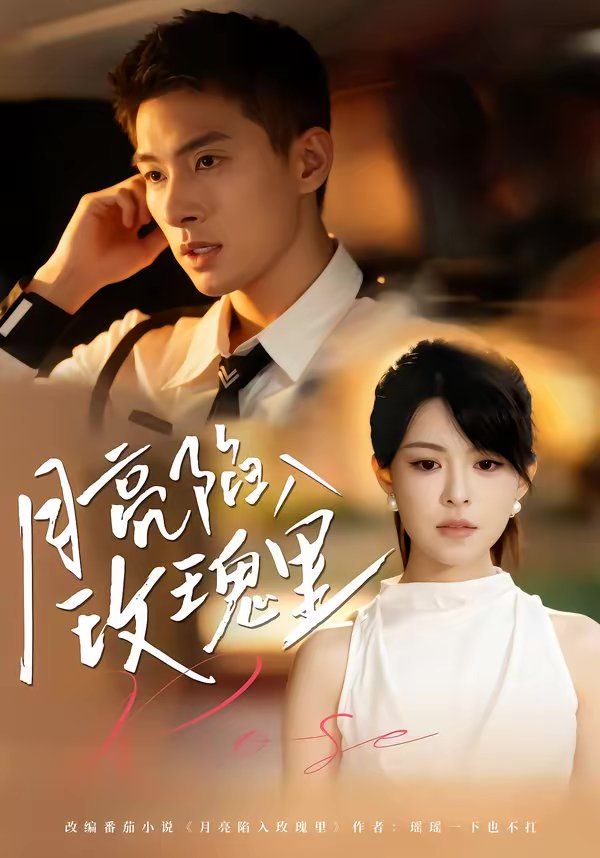 月亮陷入玫瑰里(全集)