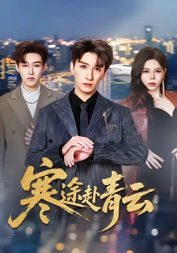 寒途赴青云(全集)