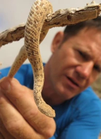 致命凶物(全集)