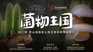 菌物王国(全集)