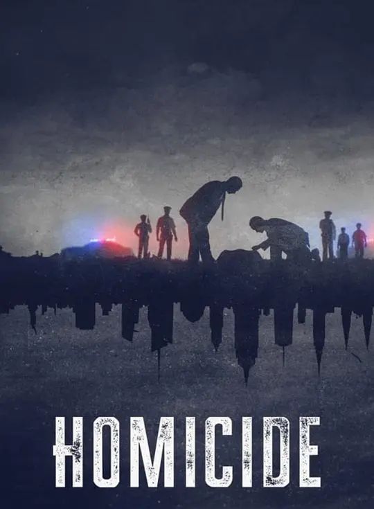 凶杀重案实录：纽约 第二季(全集)