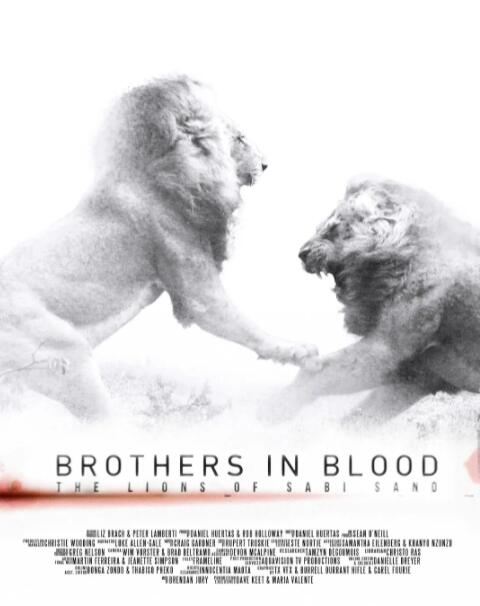 狮王之路(全集)