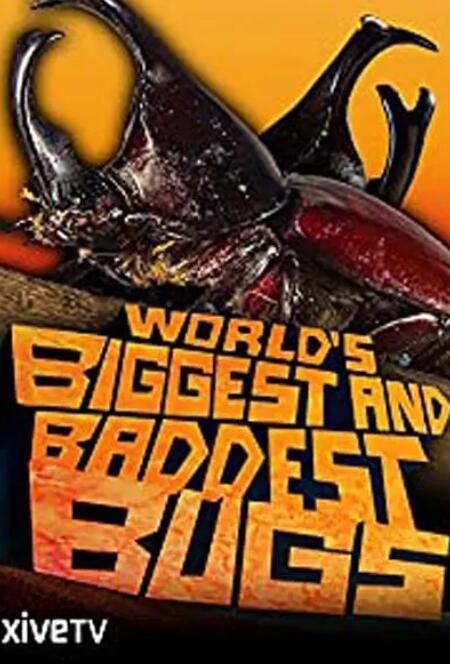 虫霸天下(全集)