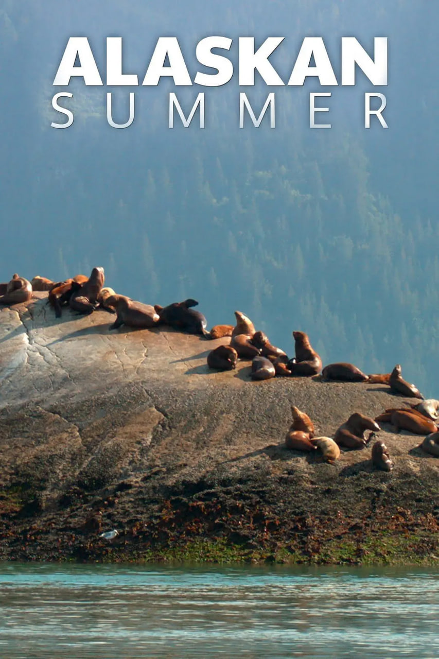 阿拉斯加之夏(全集)