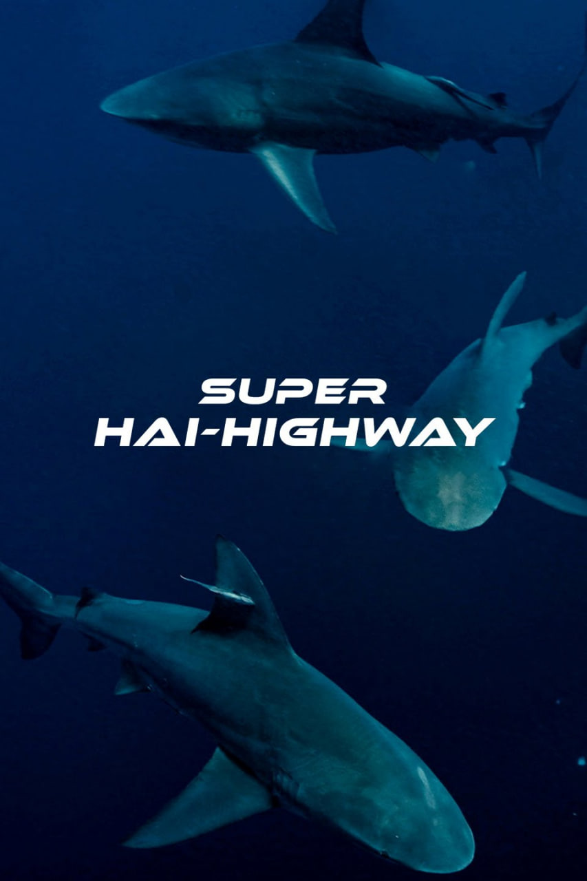 超級鯊魚大道(港)(全集)