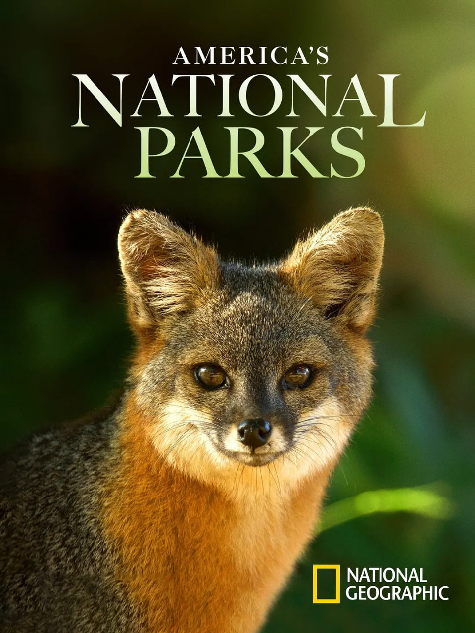 美国国家公园 第二季(全集)