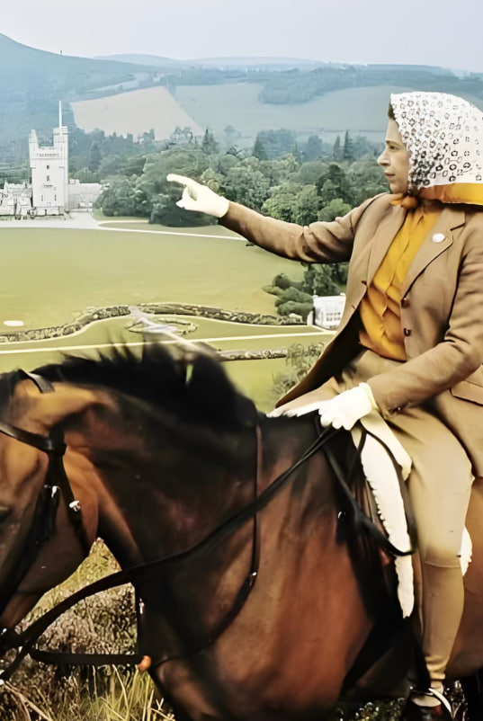 女王与国家 2022(全集)