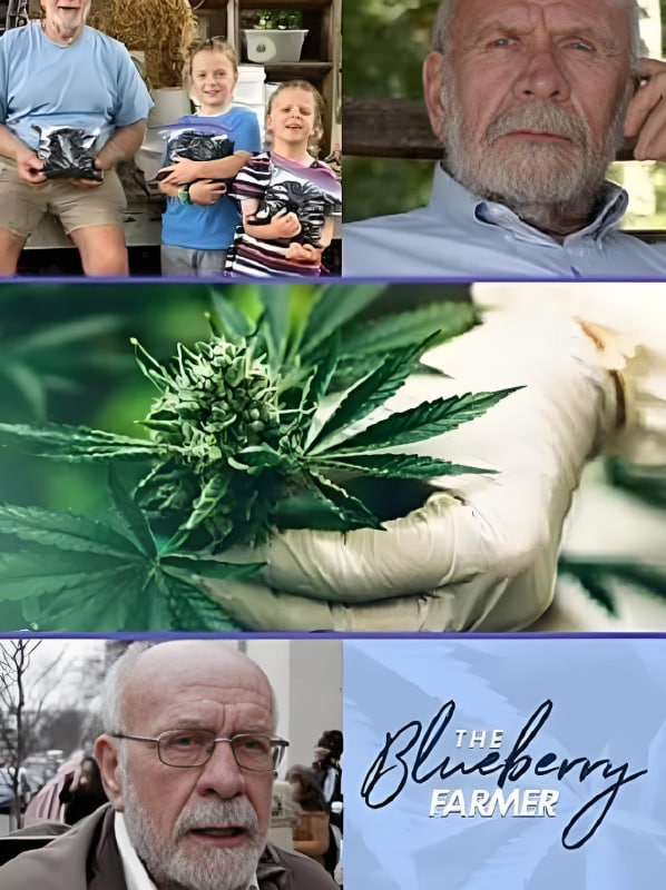 蓝莓农夫(全集)