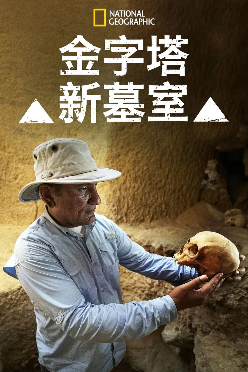 金字塔新墓室(全集)