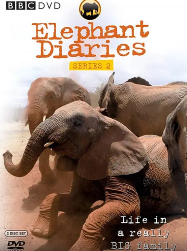 大象日记 第二季(全集)